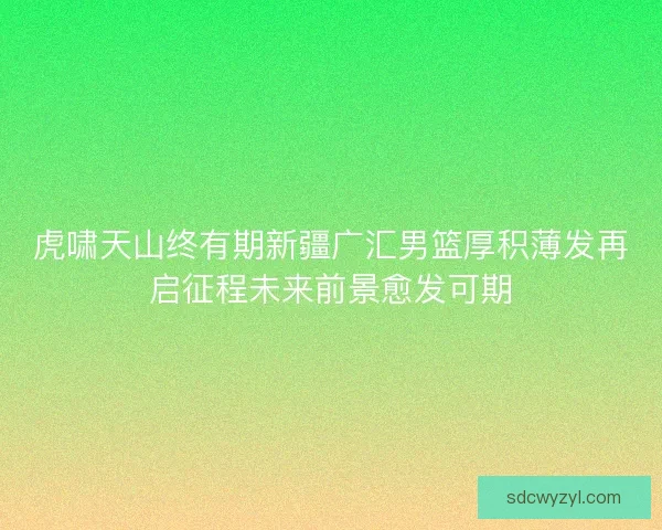 虎啸天山终有期新疆广汇男篮厚积薄发再启征程未来前景愈发可期